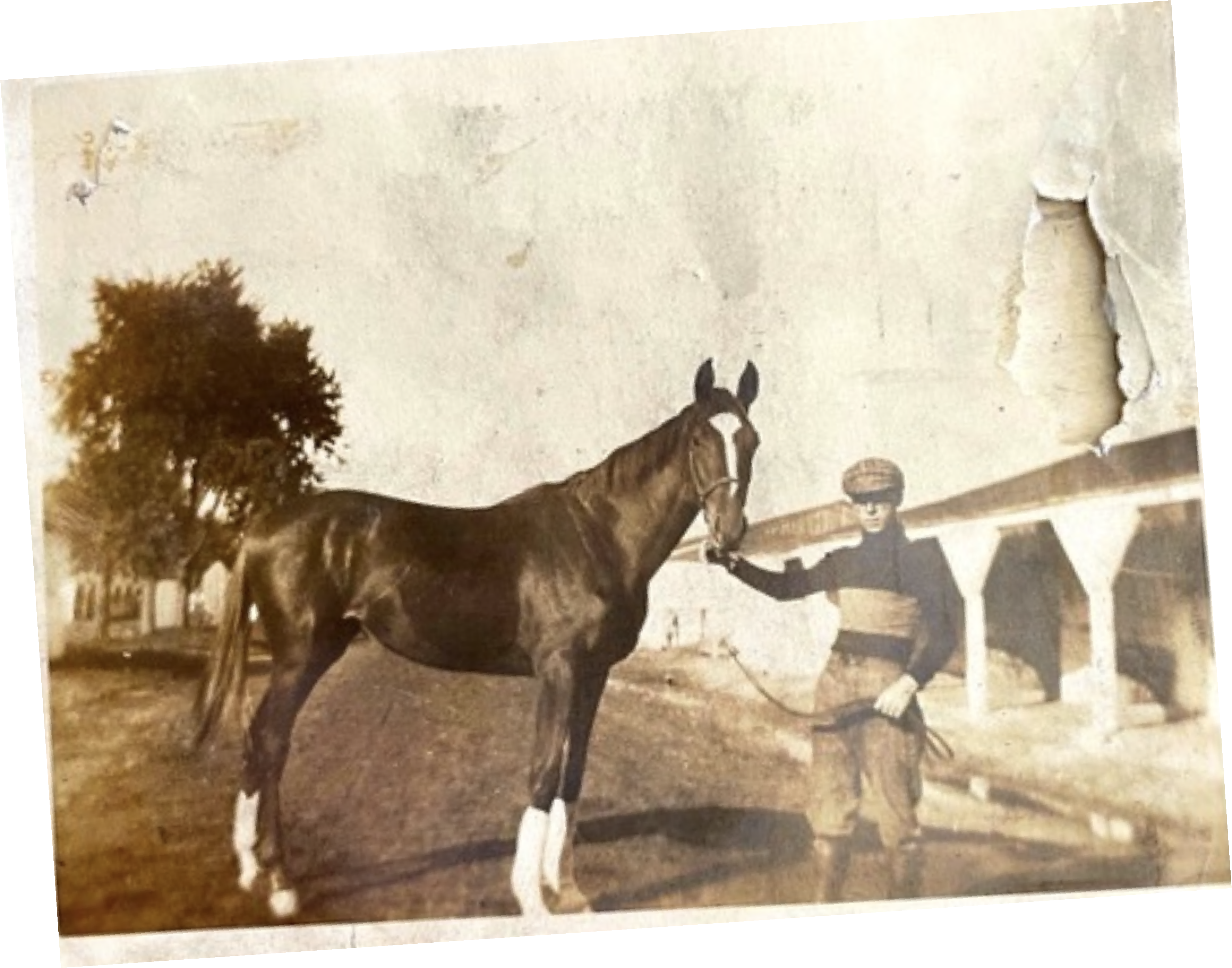 text-block-image-template--20794783432943__f1ec8150-f45a-474d-85a2-6c8ef512c18f